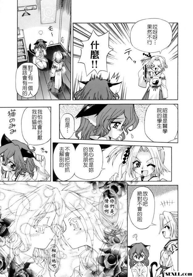 貓遊戲