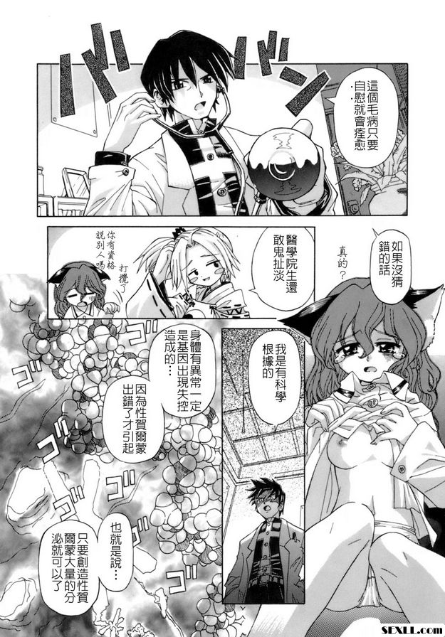貓遊戲