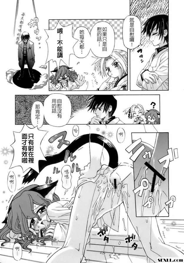 貓遊戲