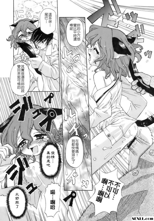 貓遊戲