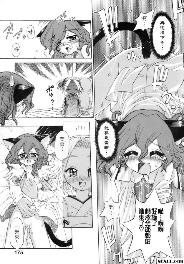 貓遊戲