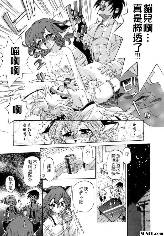 貓遊戲