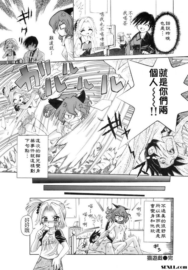 貓遊戲