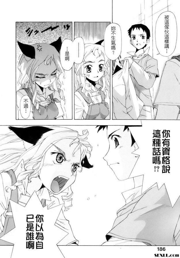 貓夢信徒