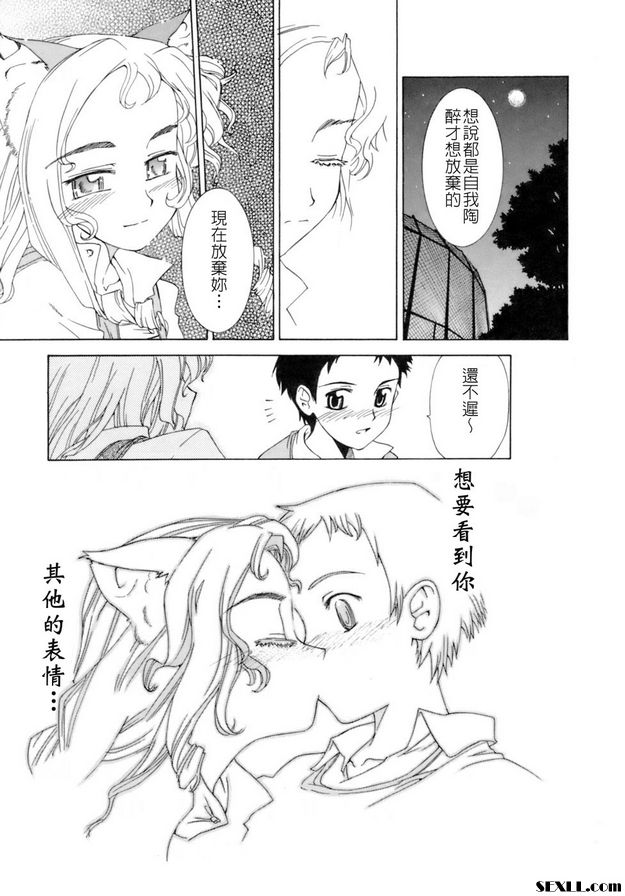 貓夢信徒