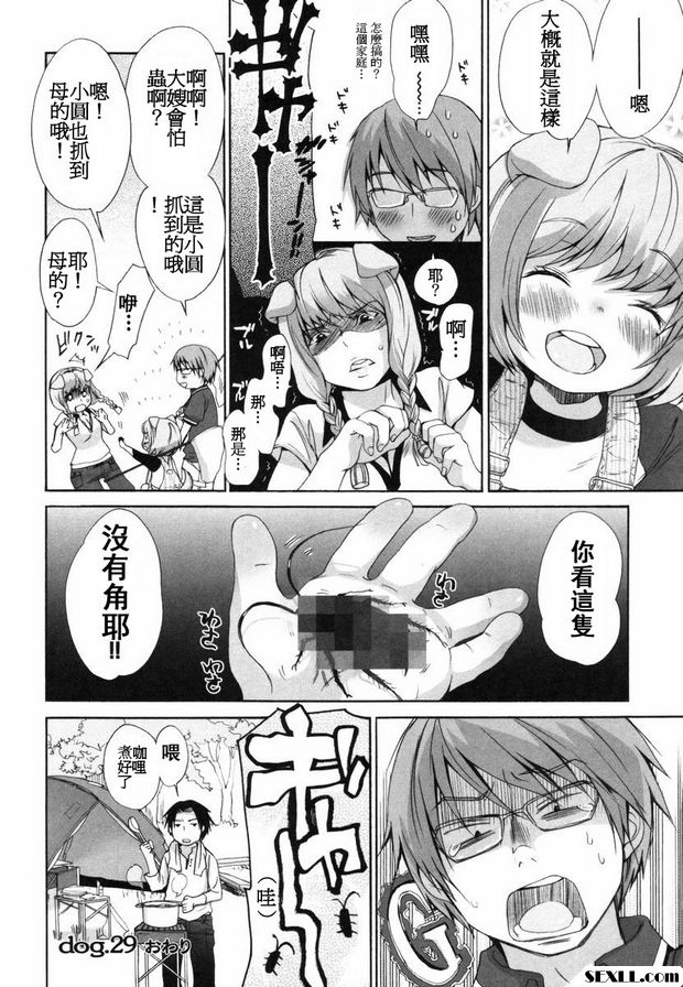 狗.28~30