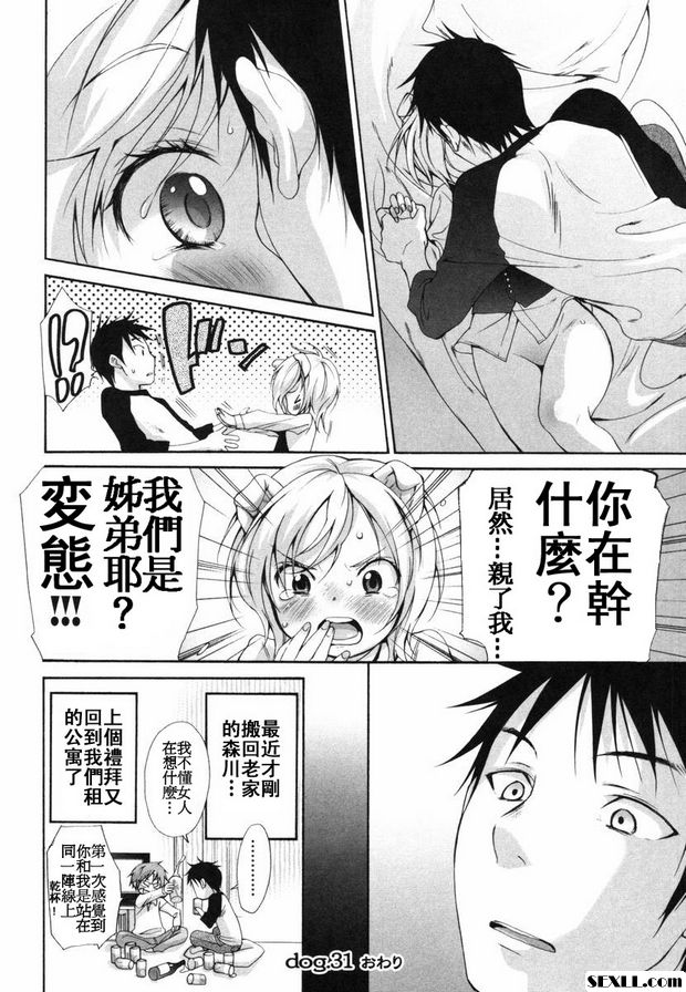 狗.31~33