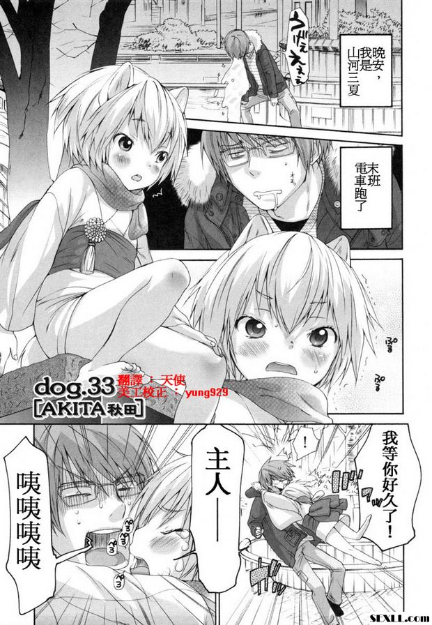 狗.31~33