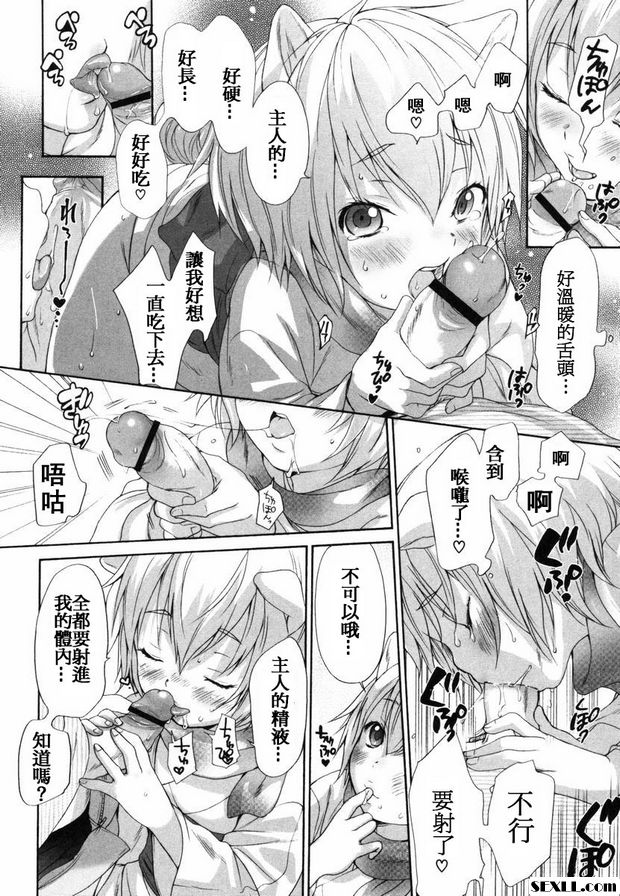 狗.31~33