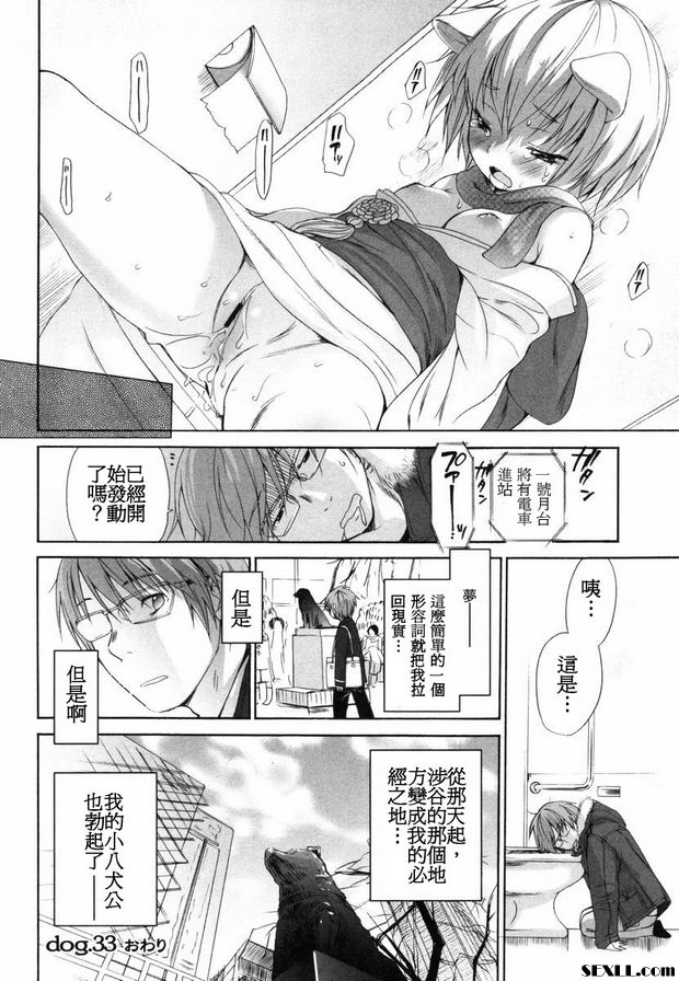 狗.31~33