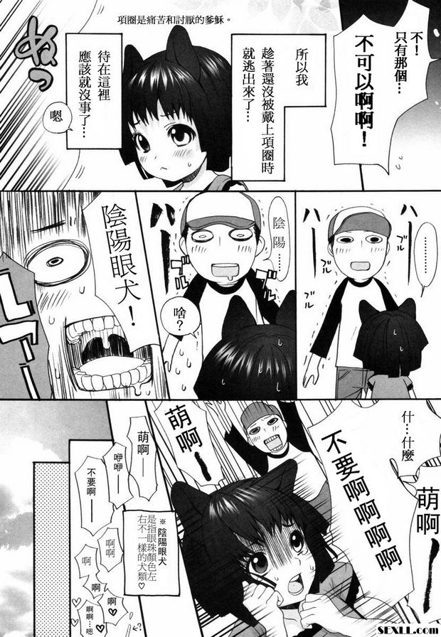 狗.5~6