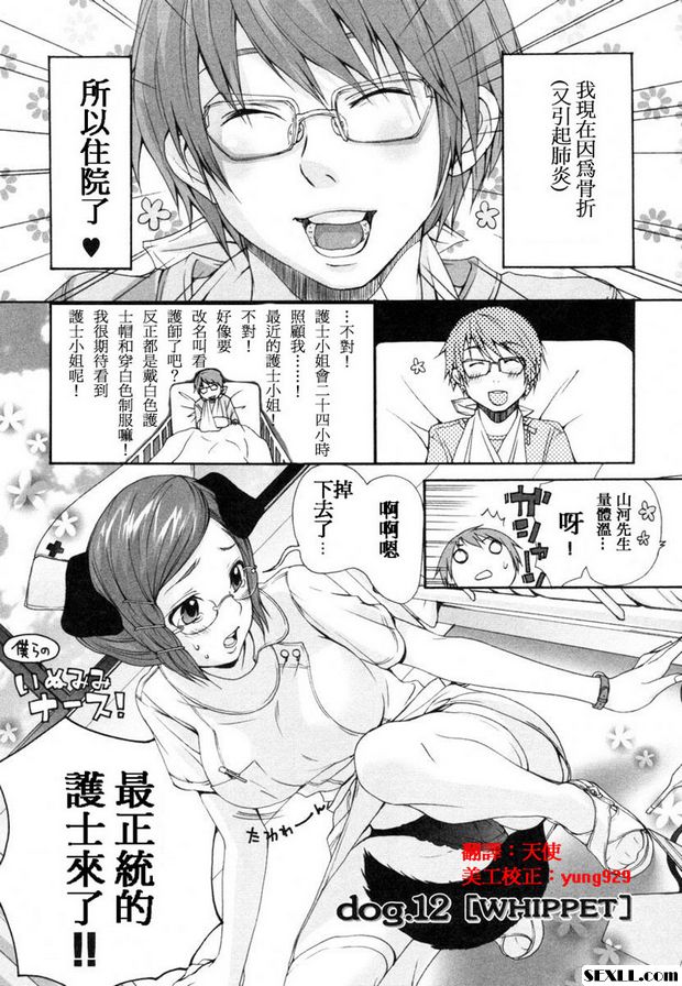 狗.11~13