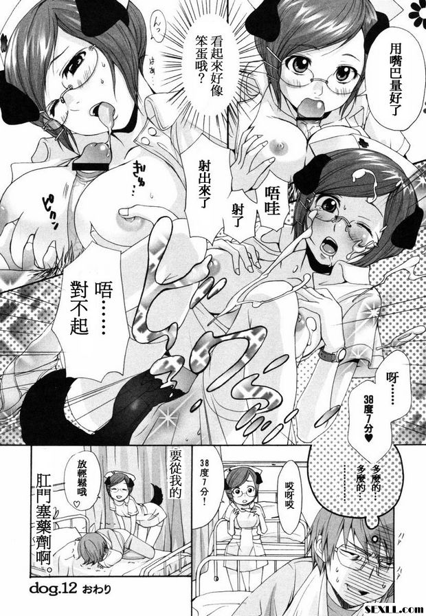 狗.11~13