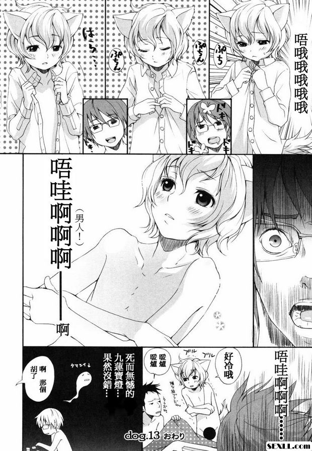 狗.11~13