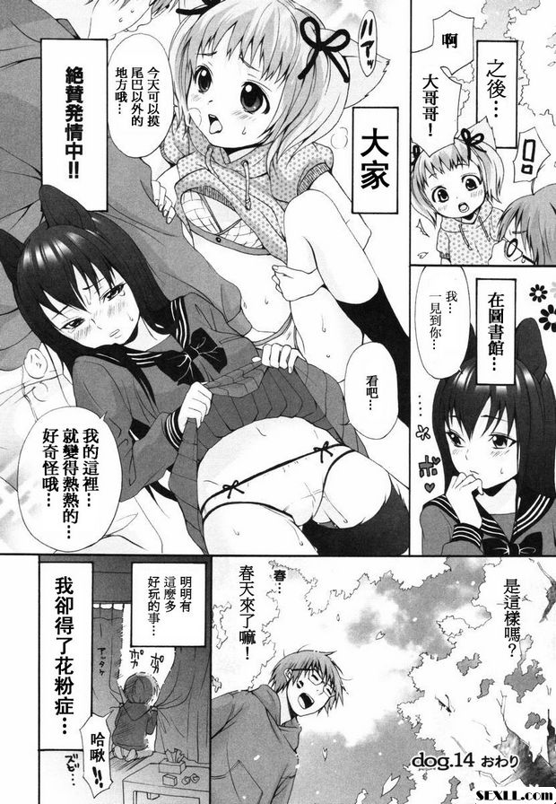 狗.14~17
