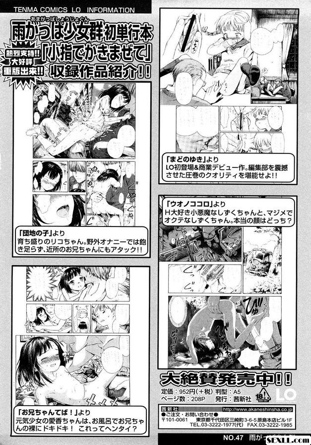 黃昏下的蟬鳴聲