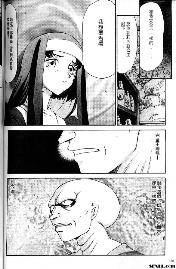 聖王女菲莉西亞7
