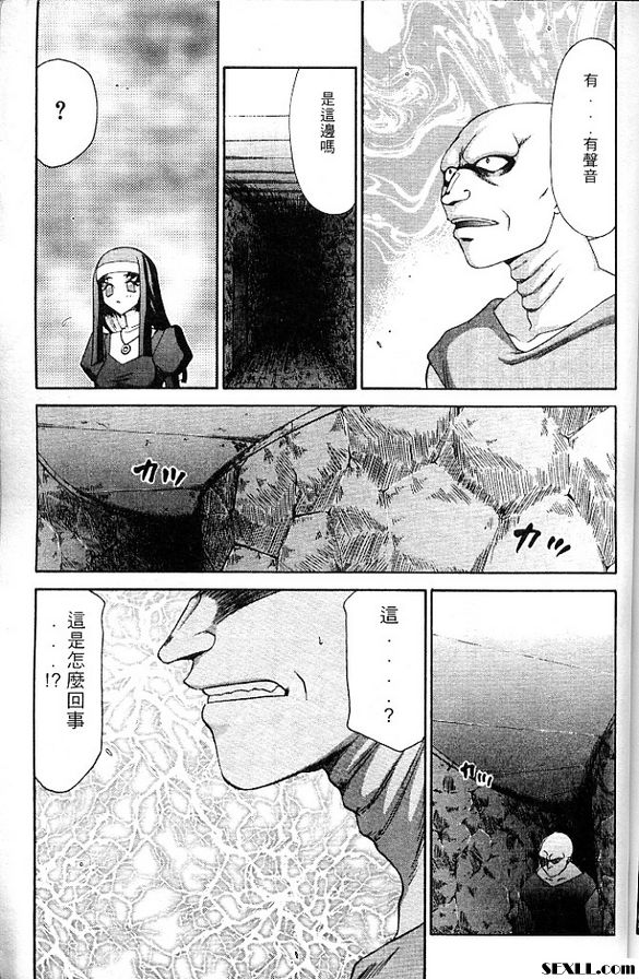 聖王女菲莉西亞7