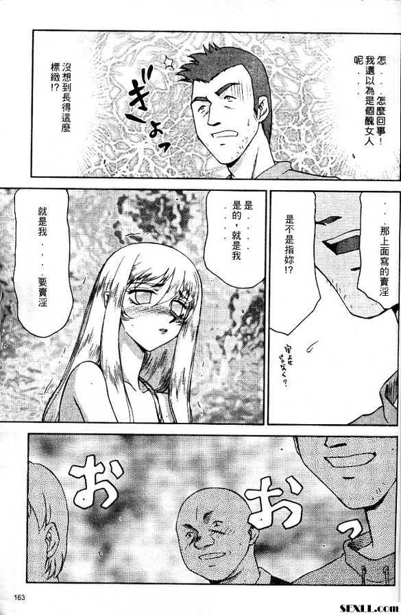 聖王女菲莉西亞8