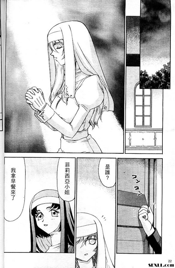 聖王女菲莉西亞2