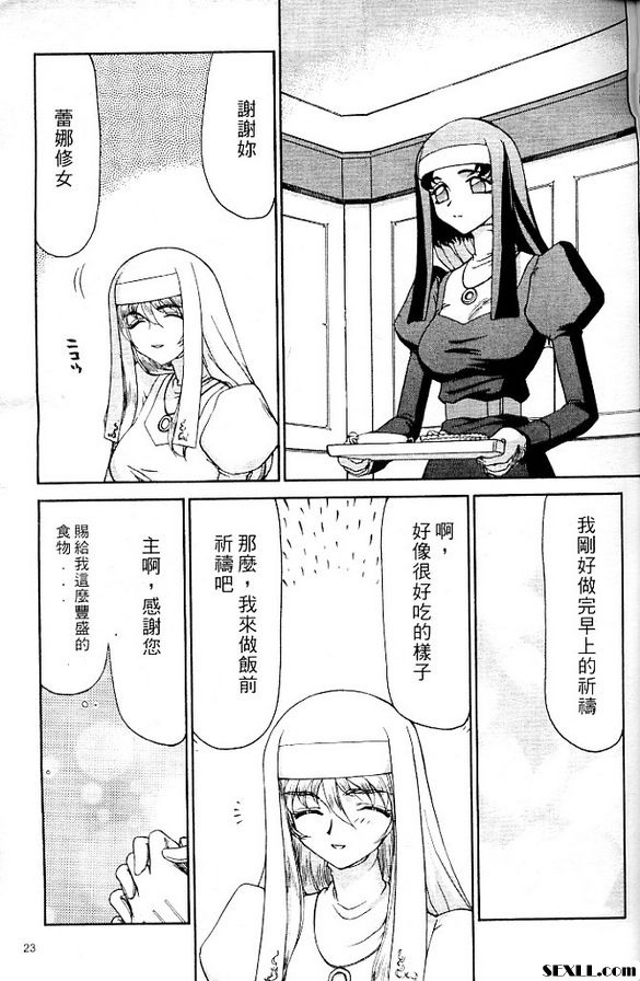 聖王女菲莉西亞2