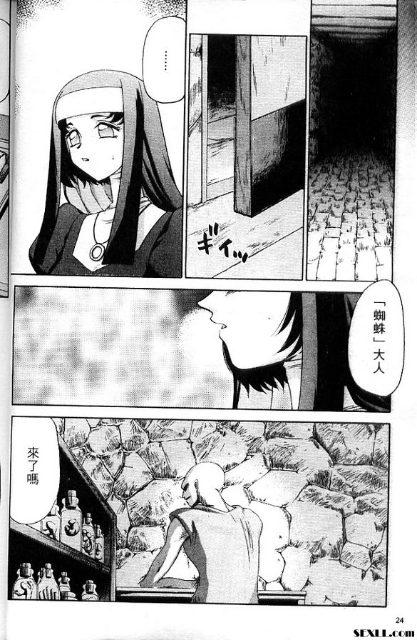聖王女菲莉西亞2