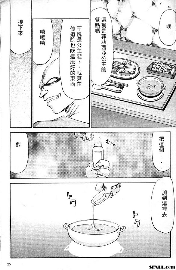 聖王女菲莉西亞2