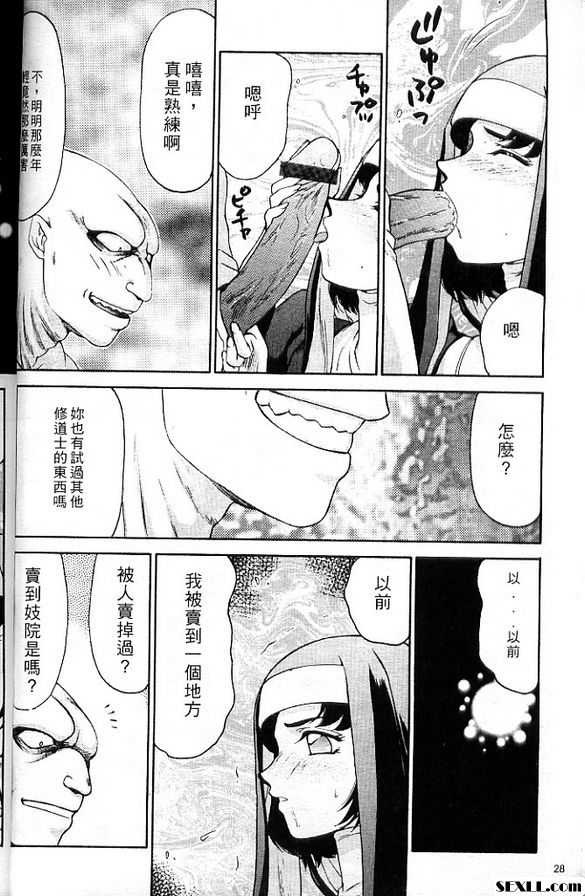聖王女菲莉西亞2