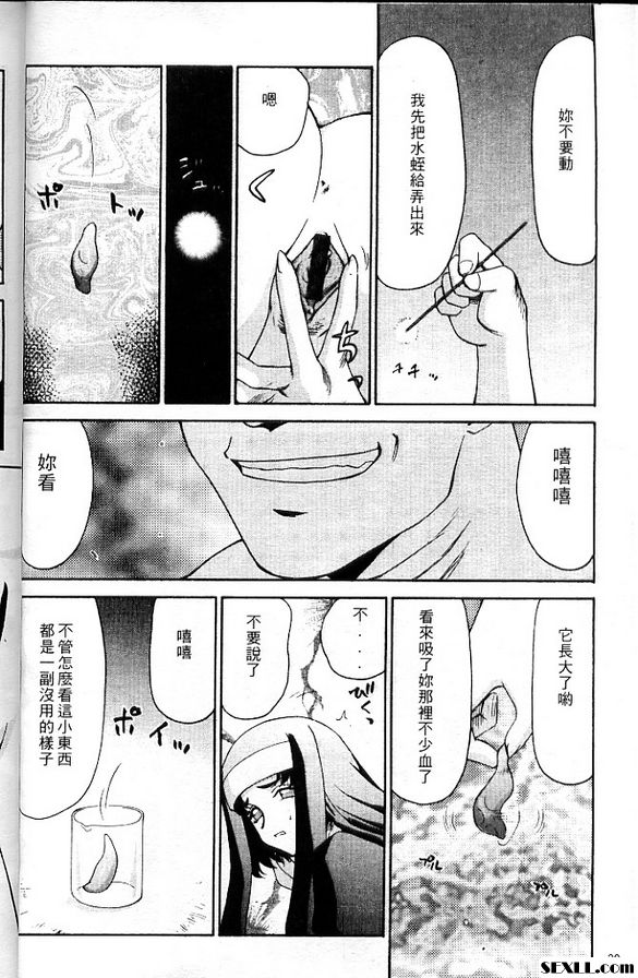 聖王女菲莉西亞2
