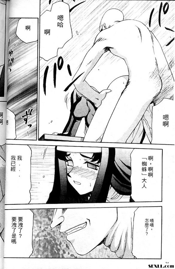 聖王女菲莉西亞2