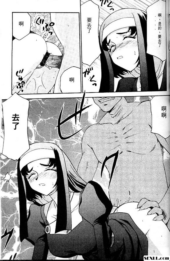 聖王女菲莉西亞2