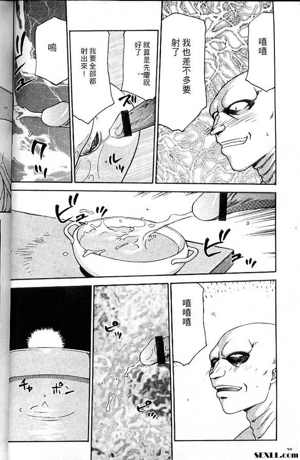 聖王女菲莉西亞2