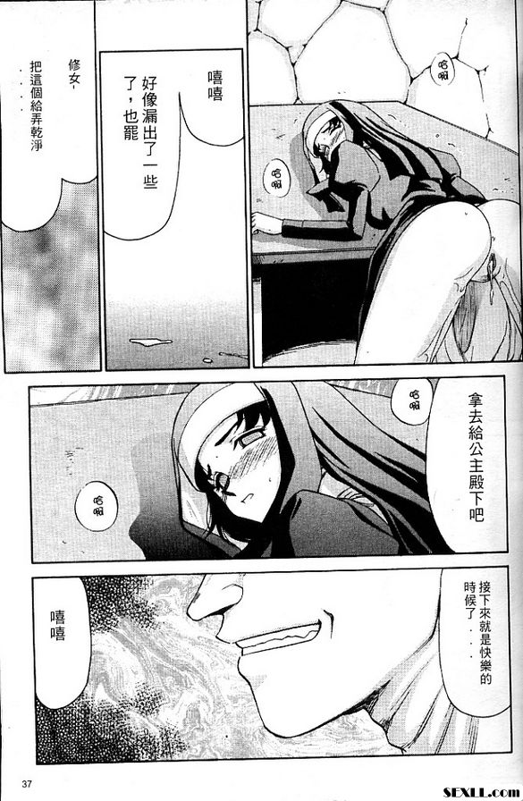 聖王女菲莉西亞2