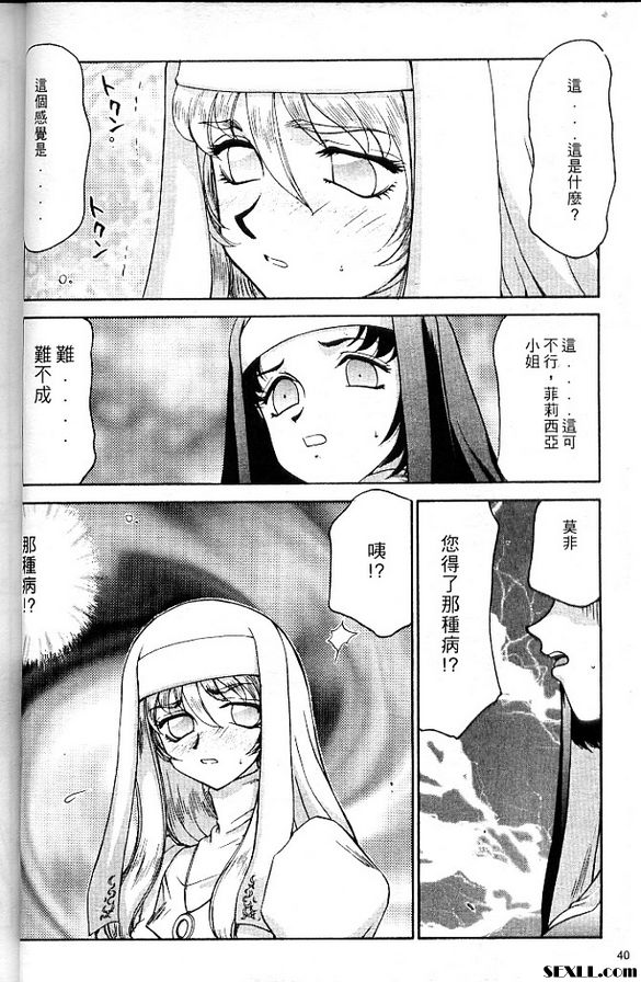 聖王女菲莉西亞2