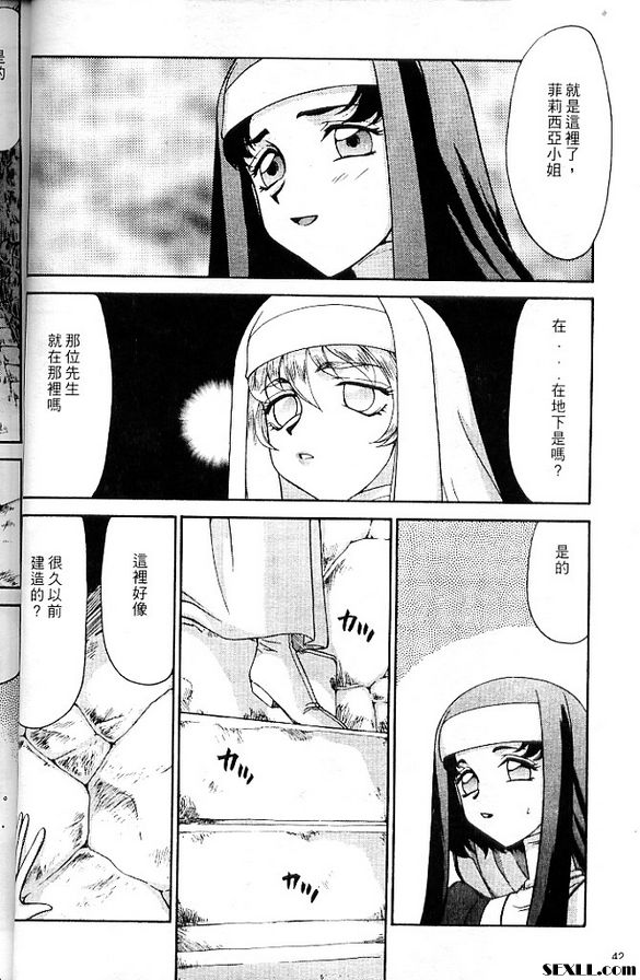聖王女菲莉西亞3