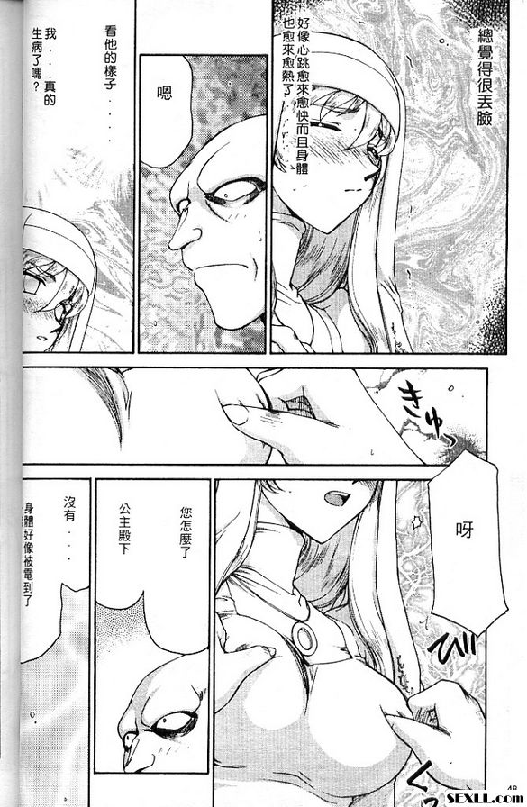 聖王女菲莉西亞3