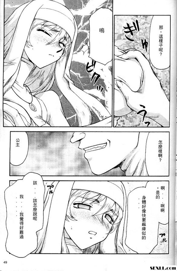 聖王女菲莉西亞3