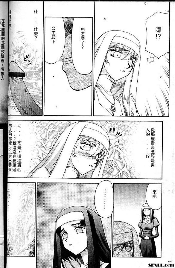 聖王女菲莉西亞3