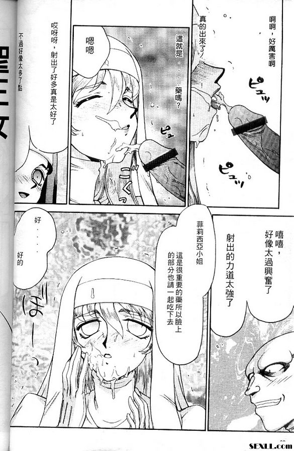 聖王女菲莉西亞3