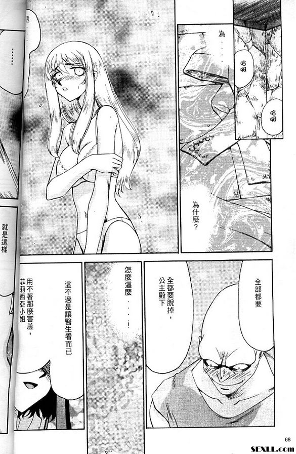 聖王女菲莉西亞4