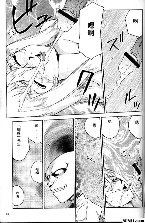 聖王女菲莉西亞5