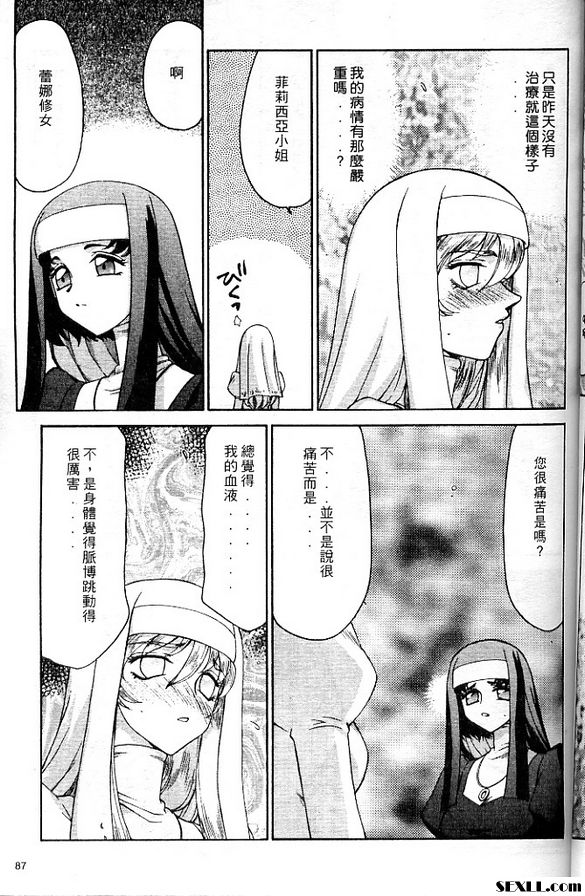 聖王女菲莉西亞5