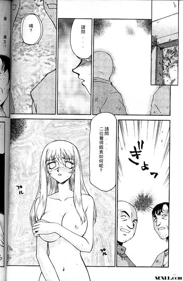 聖王女菲莉西亞5