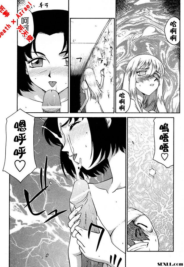 聖王女菲莉西亞14