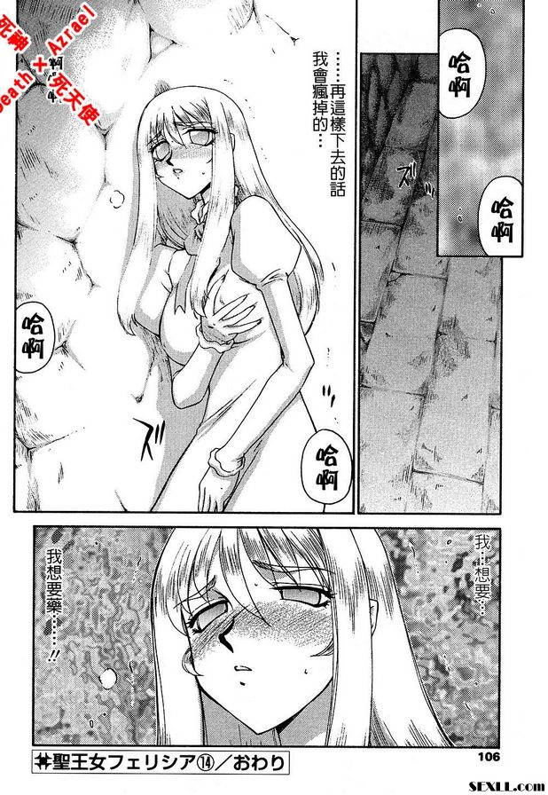 聖王女菲莉西亞14
