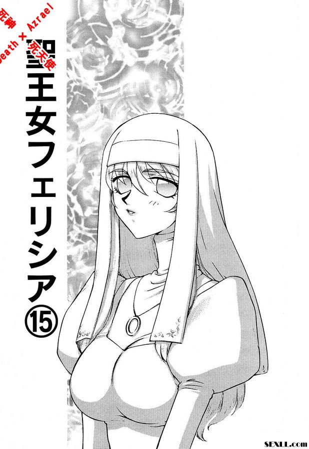 聖王女菲莉西亞15