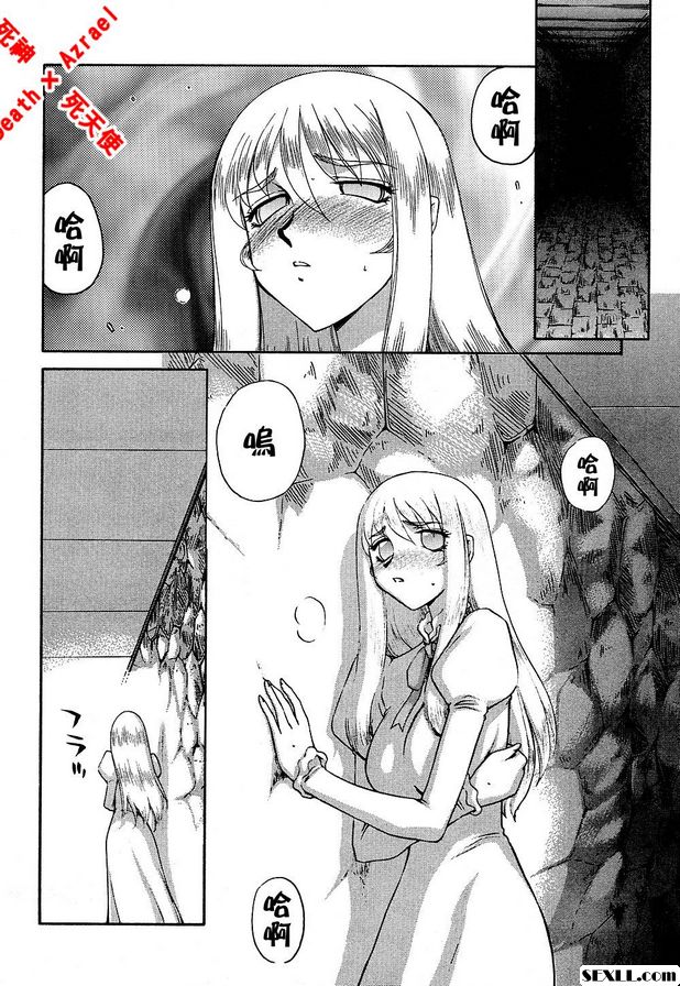 聖王女菲莉西亞15