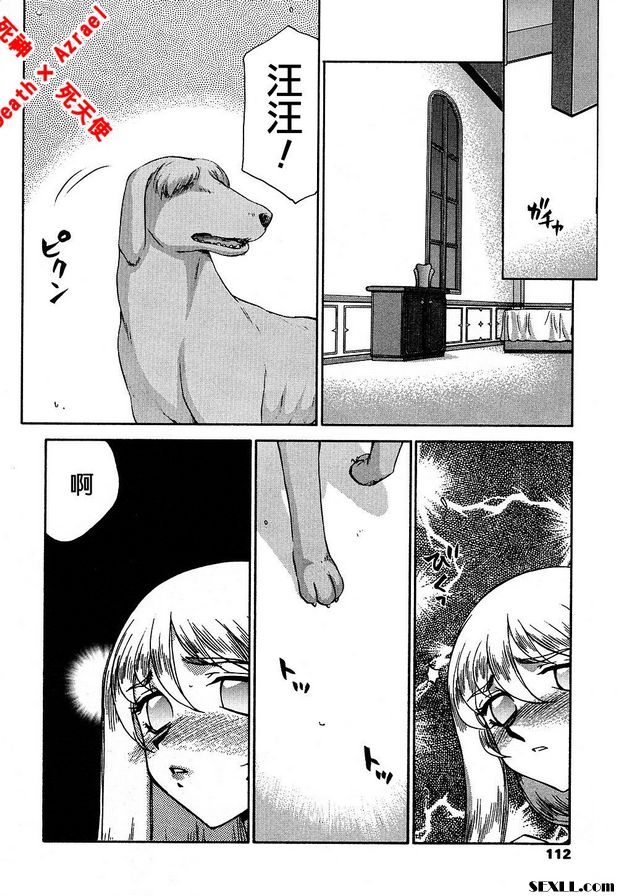 聖王女菲莉西亞15