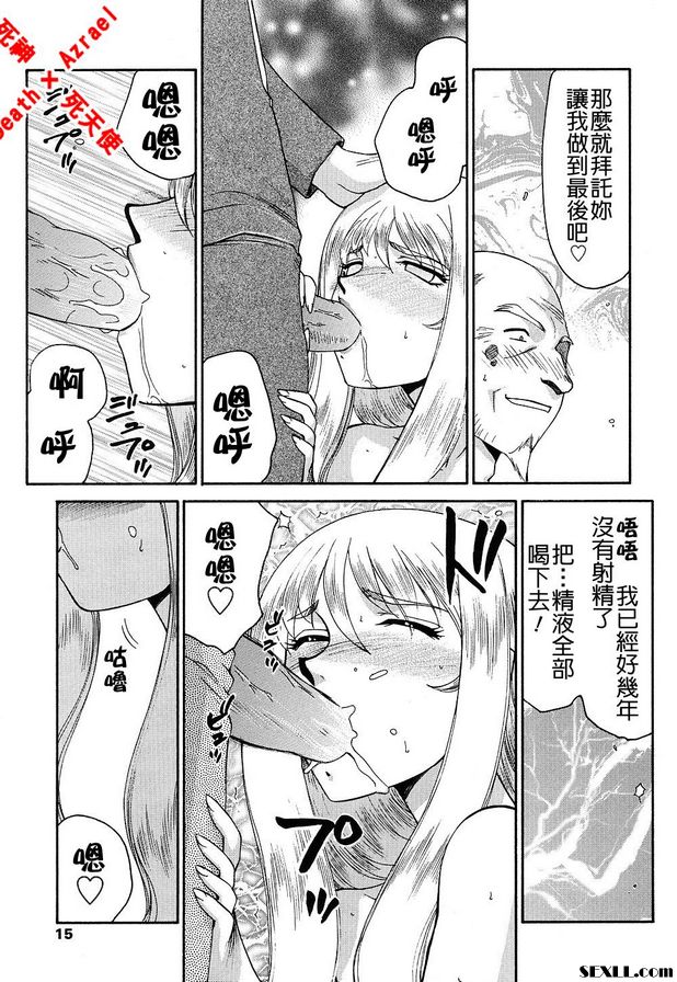 聖王女菲莉西亞10