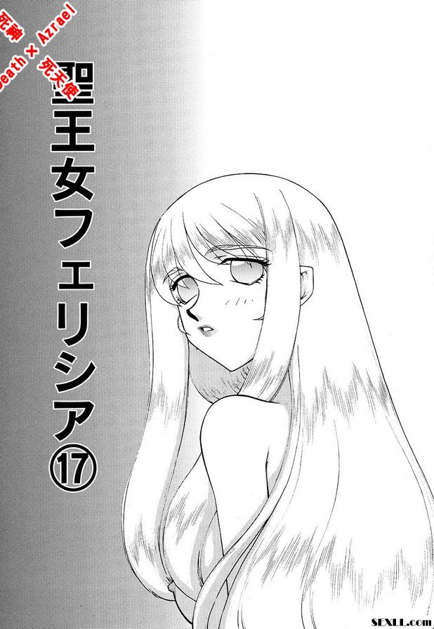 聖王女菲莉西亞17